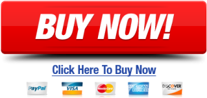 Buy Now Credit Card Icons Button